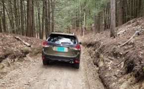 2023 Subaru Forester rear view