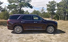2022 Hyundai Palisade side view