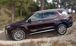 Hyundai Palisade-image