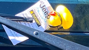 Toy duck in windshield